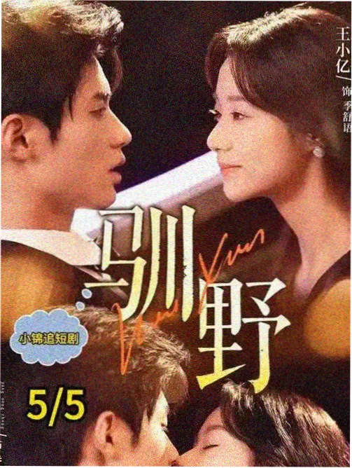 2025最新韩剧高清《汉江以南》缩略图